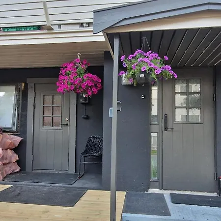 E&e Senior سفولفير